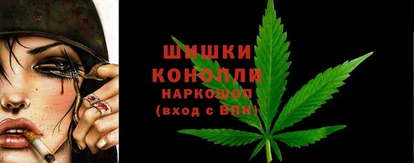 СК Козловка
