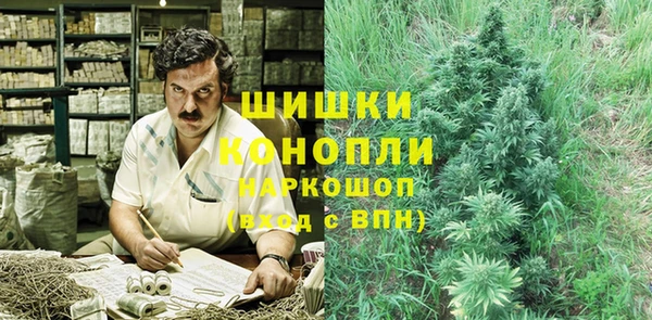 СК Козловка