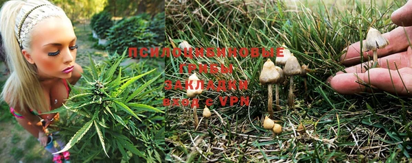 молекула духа Костерёво